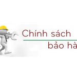 Điều khoản bảo hành