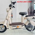 ALPHA MINI 2024 – MẪU XE DÀNH CHO MỌI LỨA TUỔI
