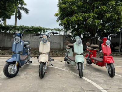 Alpha nhỏ